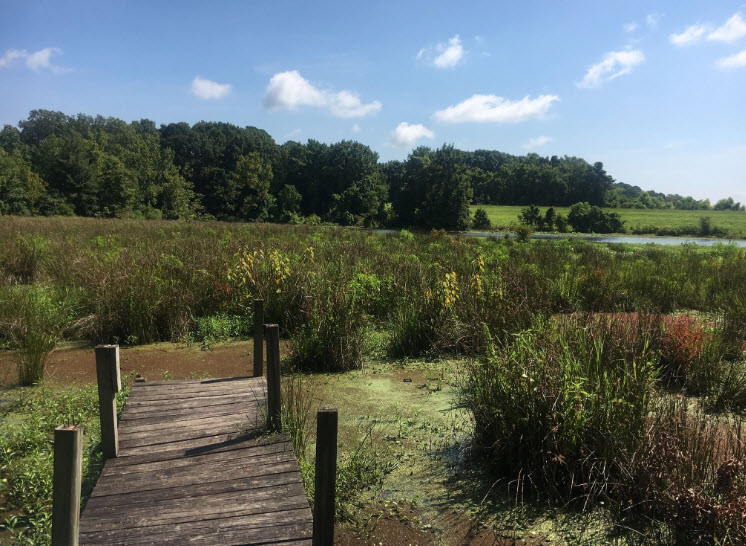 Simmons Arboretum, United States